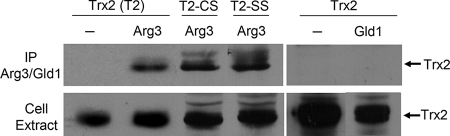 FIG. 5.