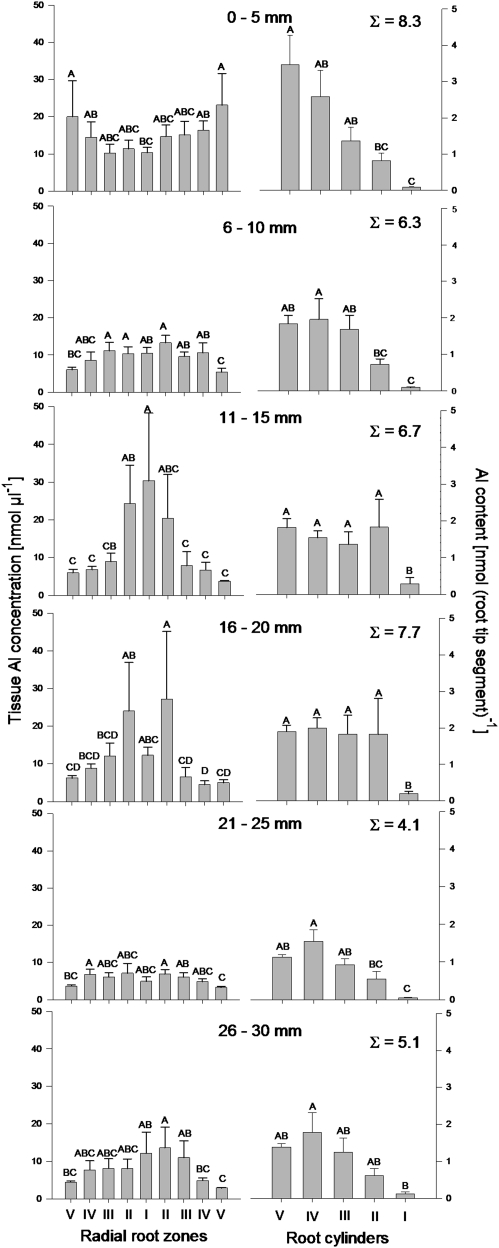 Fig. 8.