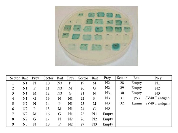 Figure 5