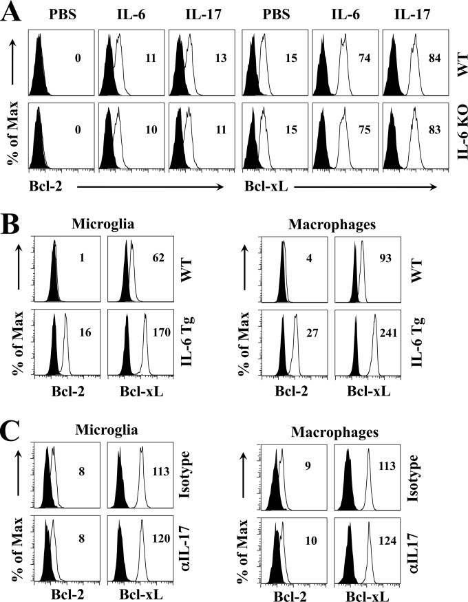 FIG 4