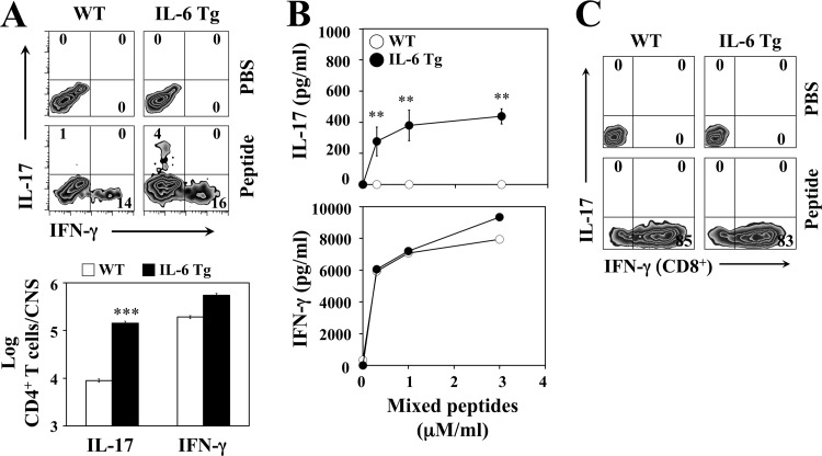 FIG 3