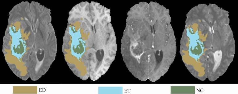 Figure 7