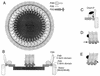 FIG. 7
