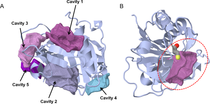 Figure 1.