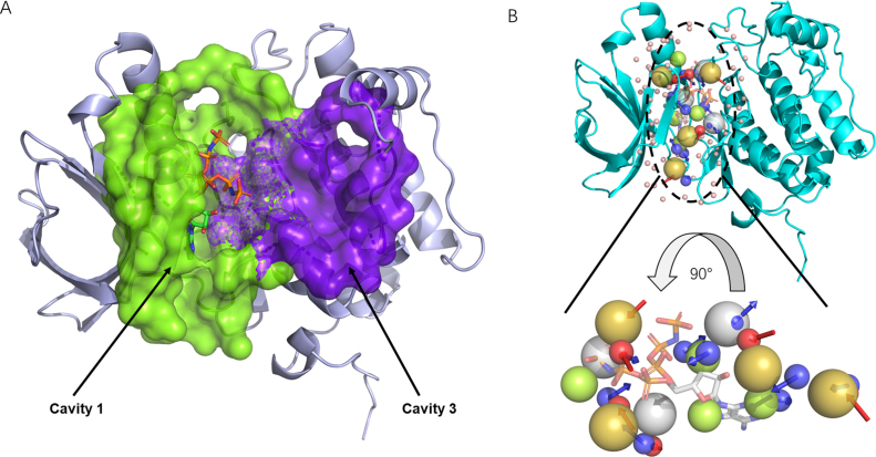 Figure 2.