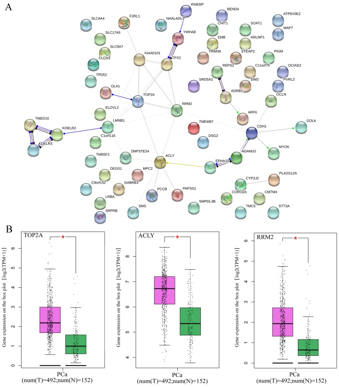 Figure 17.