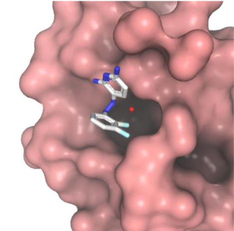 graphic file with name nihms-1665887-f0001.jpg