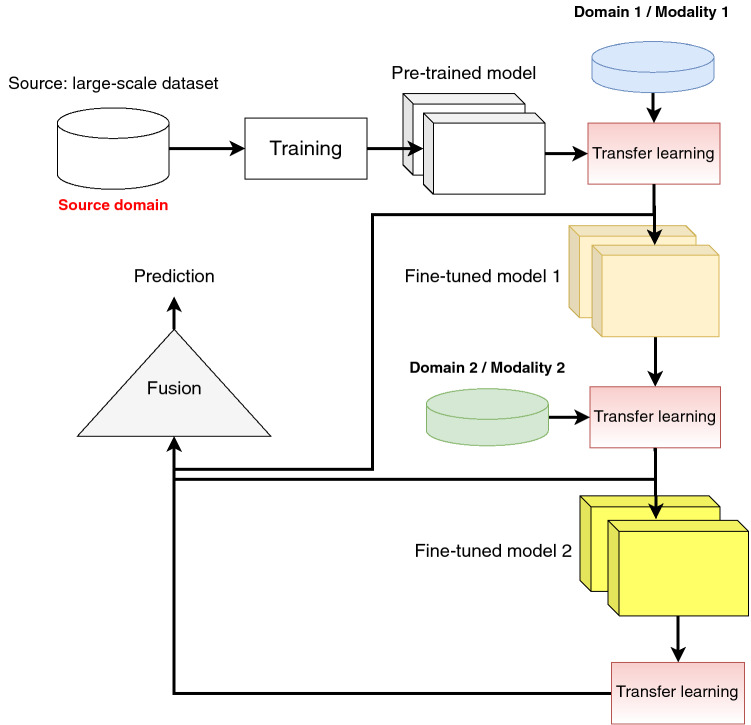 Fig. 12