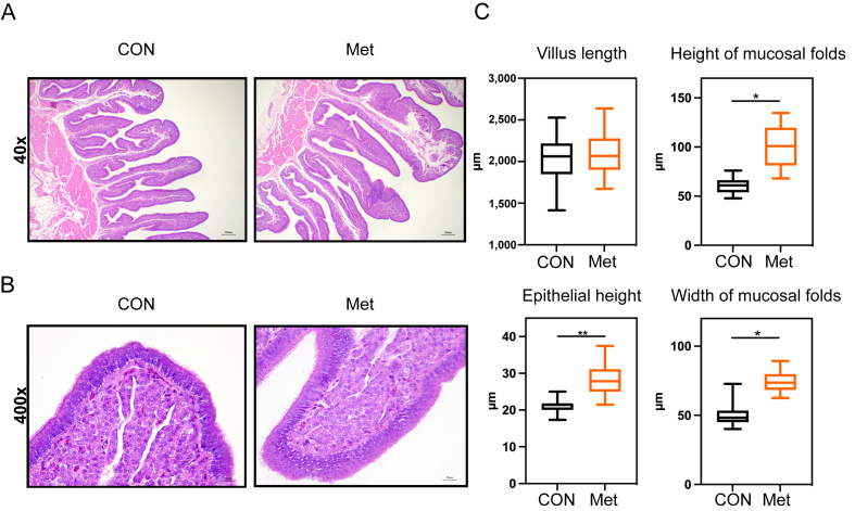 Fig. 2