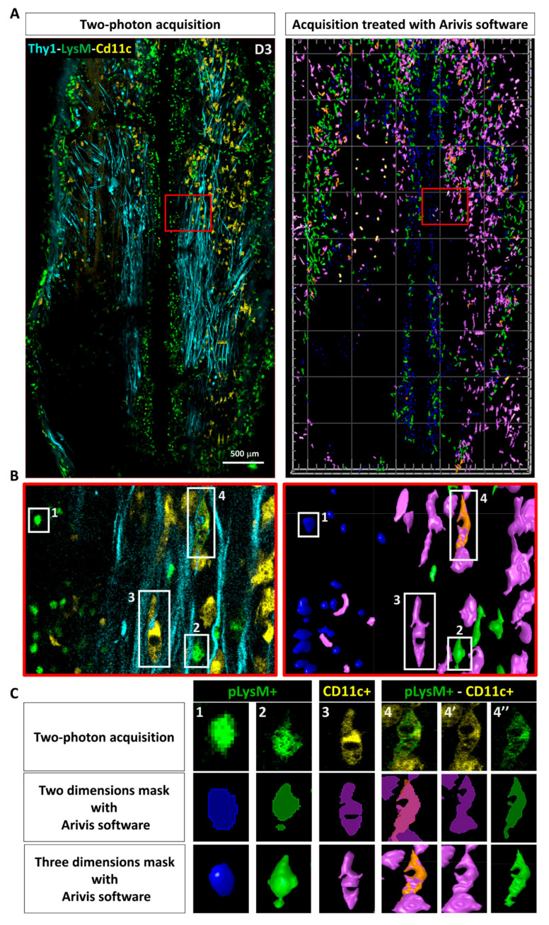 Figure 4