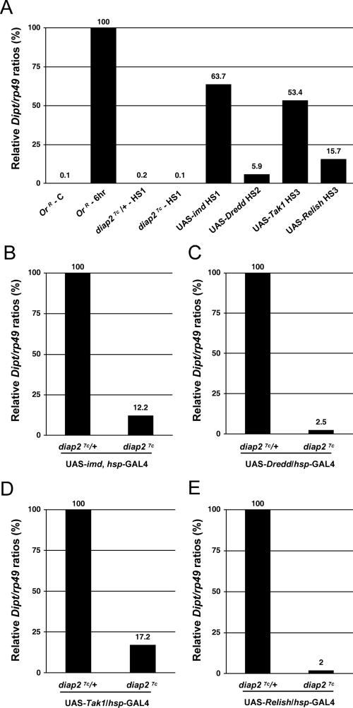 FIG. 6.