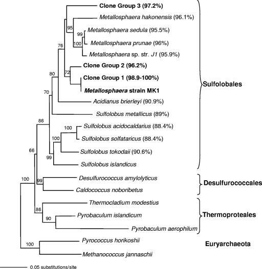 FIG. 1.