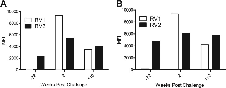 Fig 10