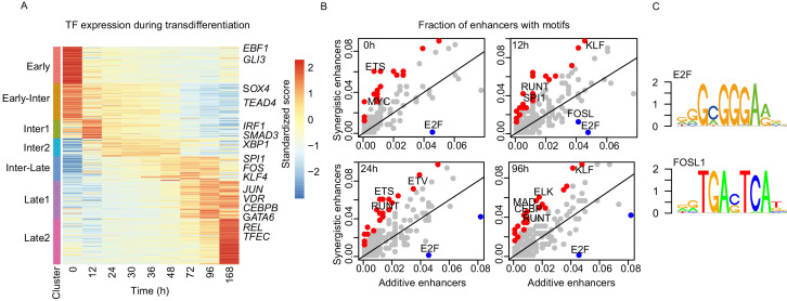 Figure 6—figure supplement 1.