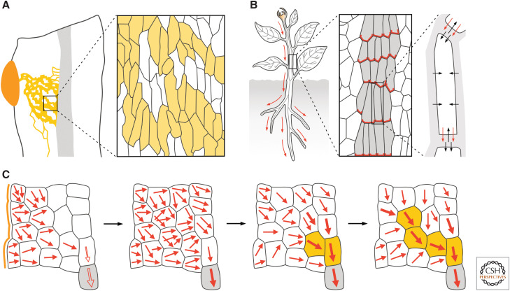 Figure 3.