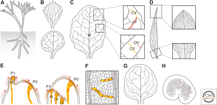 Figure 6.