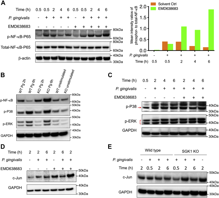 Figure 3