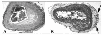 Fig. (2)