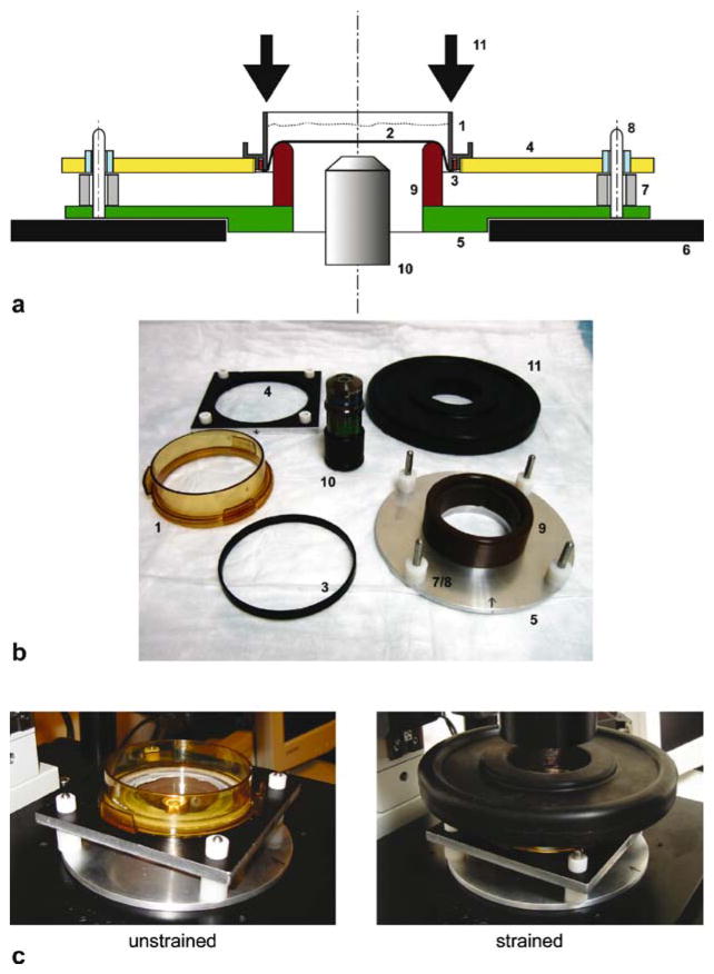 Fig. 2.1