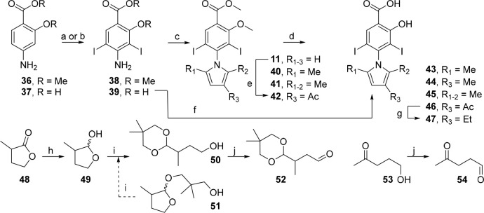 Scheme 2