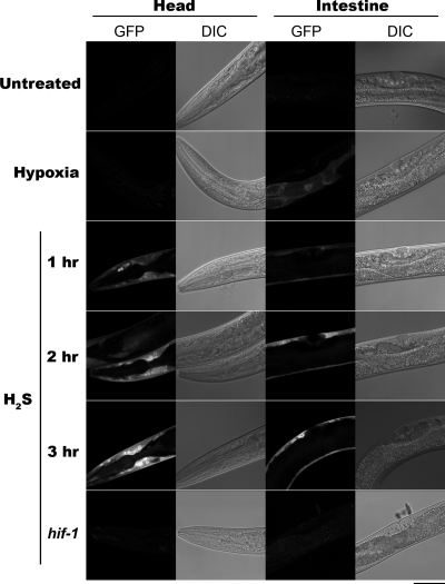 Figure 3.