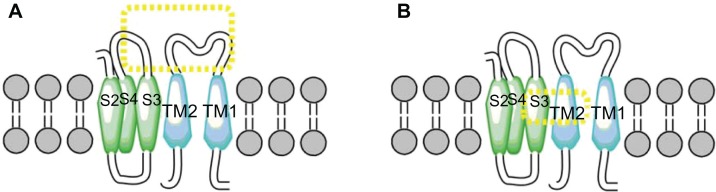 Figure 8