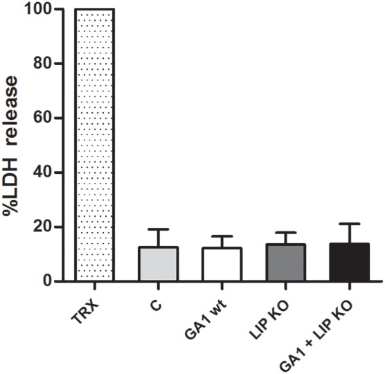 Figure 9