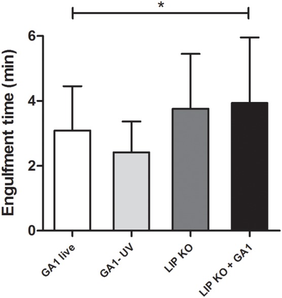 Figure 7