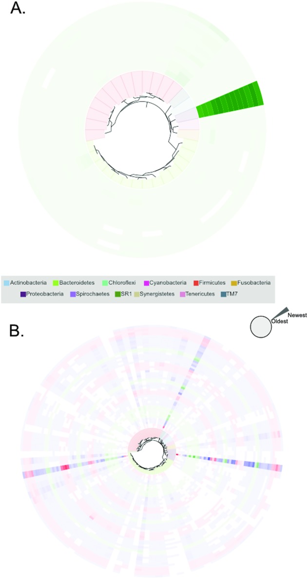 Fig 6