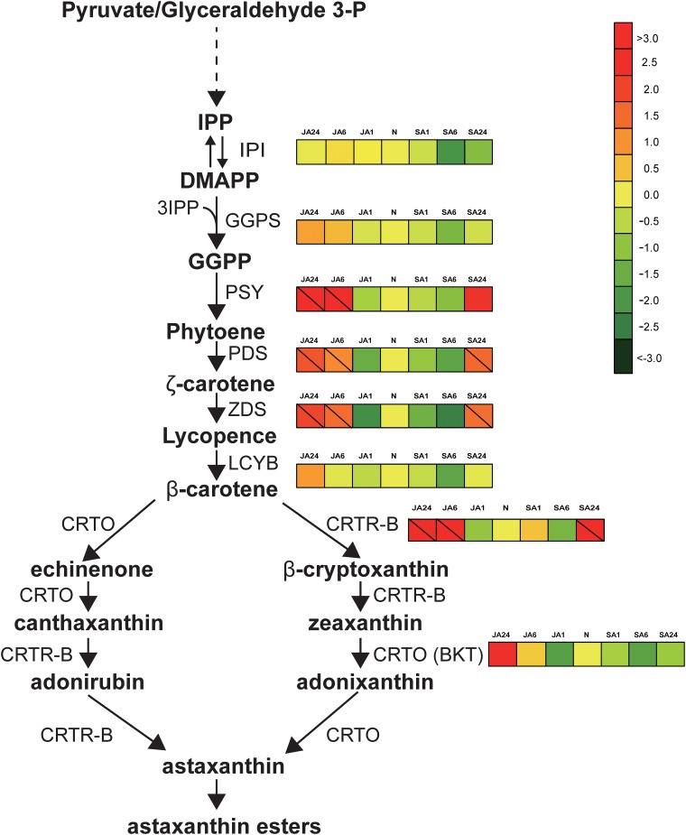 Fig 6