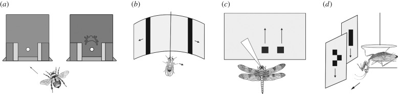 Figure 2.