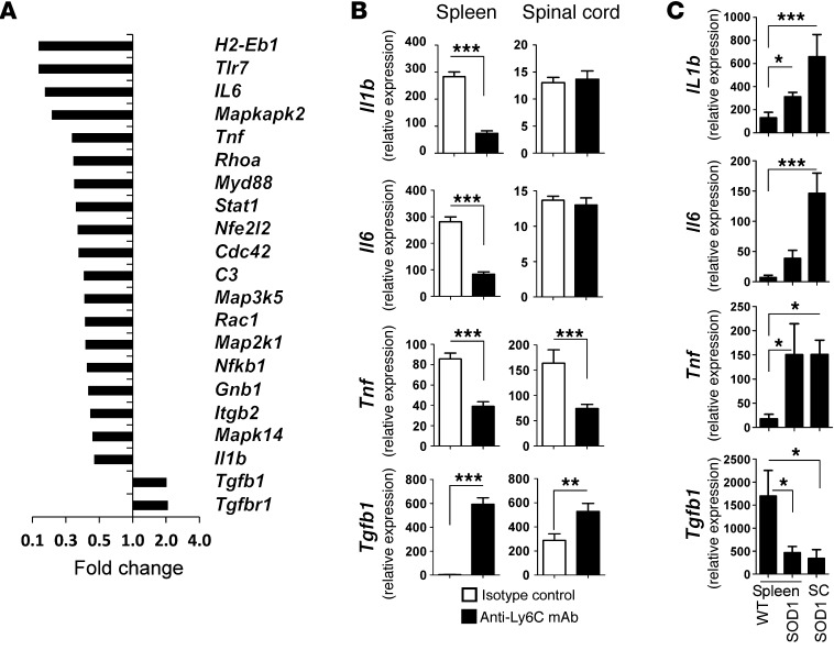 Figure 13