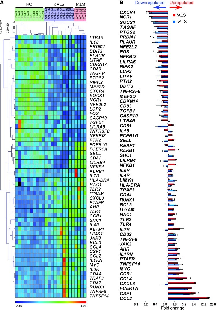 Figure 17