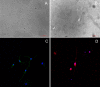Fig 8