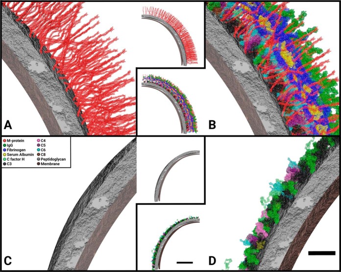 Fig. 4.