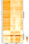 Fig 10