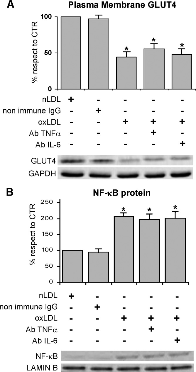 Fig. 10.