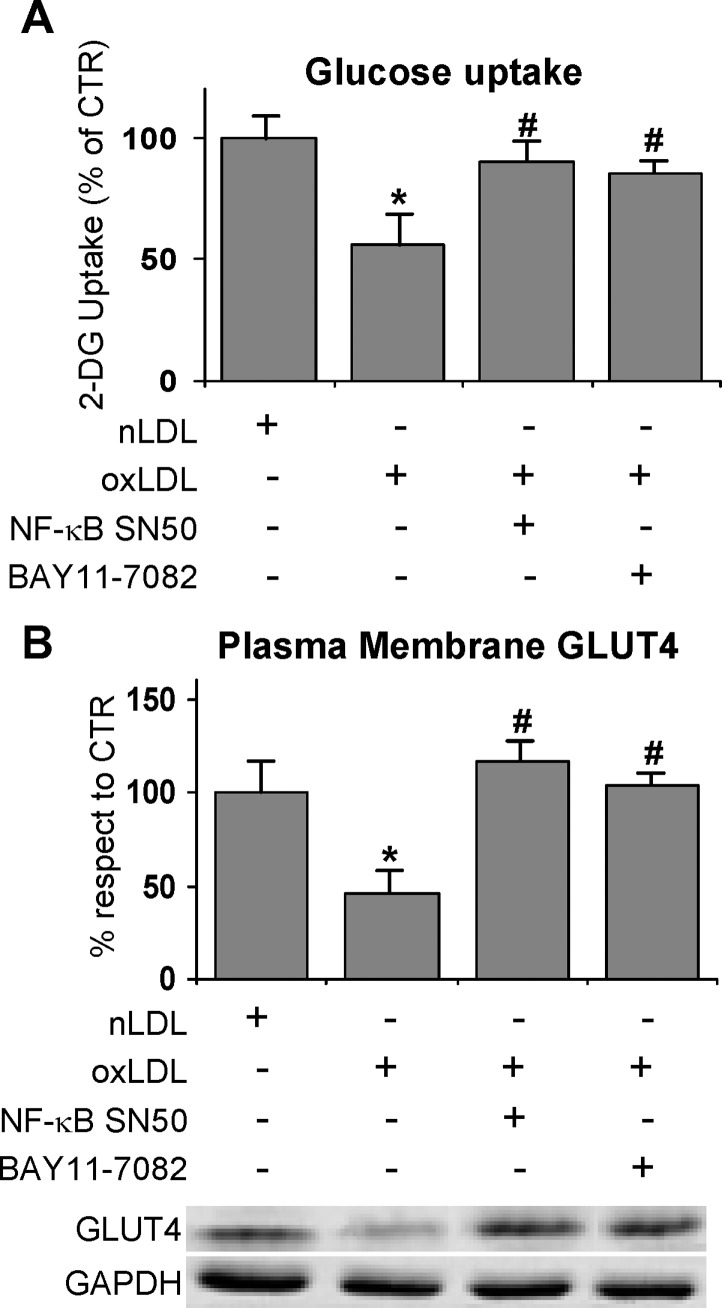 Fig. 8.