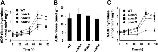 Fig 5