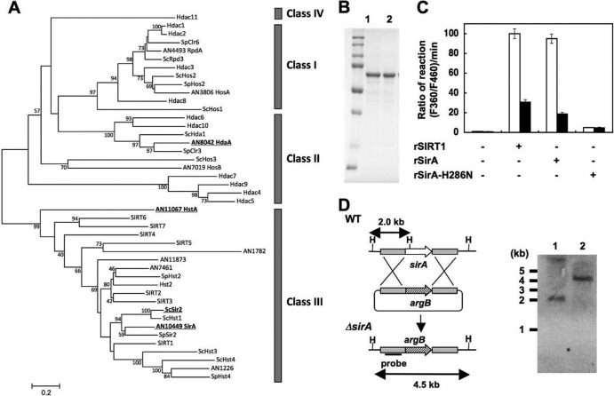 Fig 8