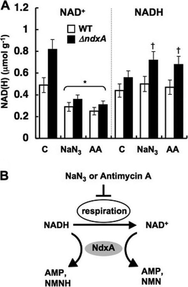 Fig 4