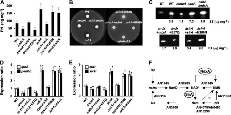 Fig 6