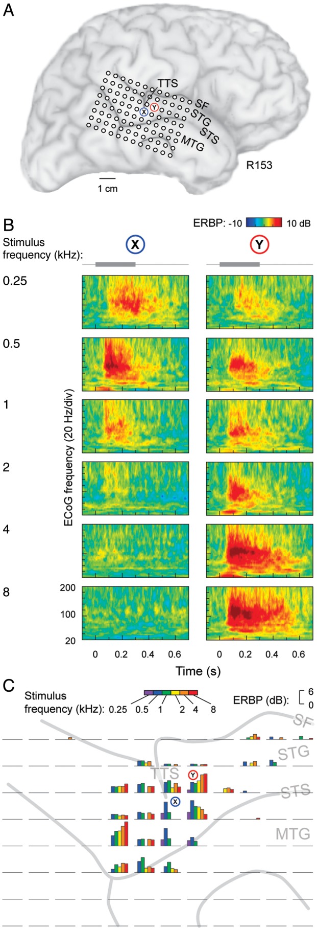 Figure 1.