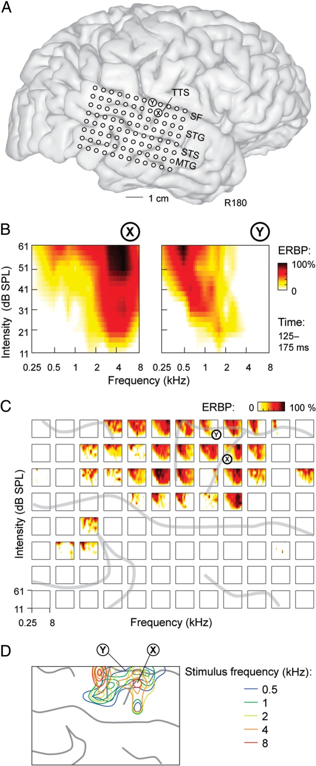 Figure 2.