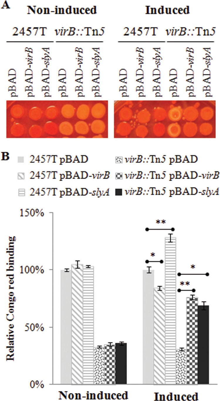 FIG 4