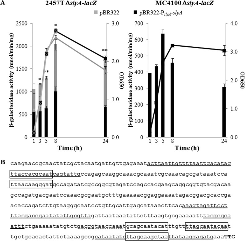 FIG 2