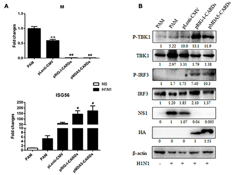 FIGURE 6