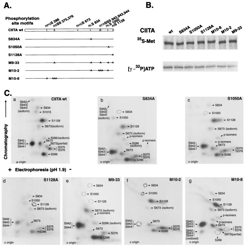 FIG. 6