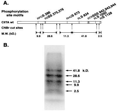 FIG. 5