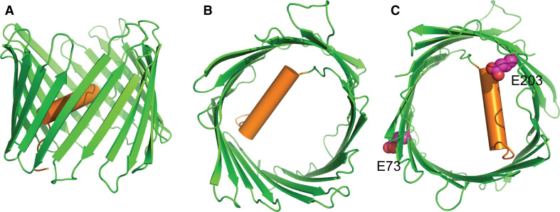 Fig. 1